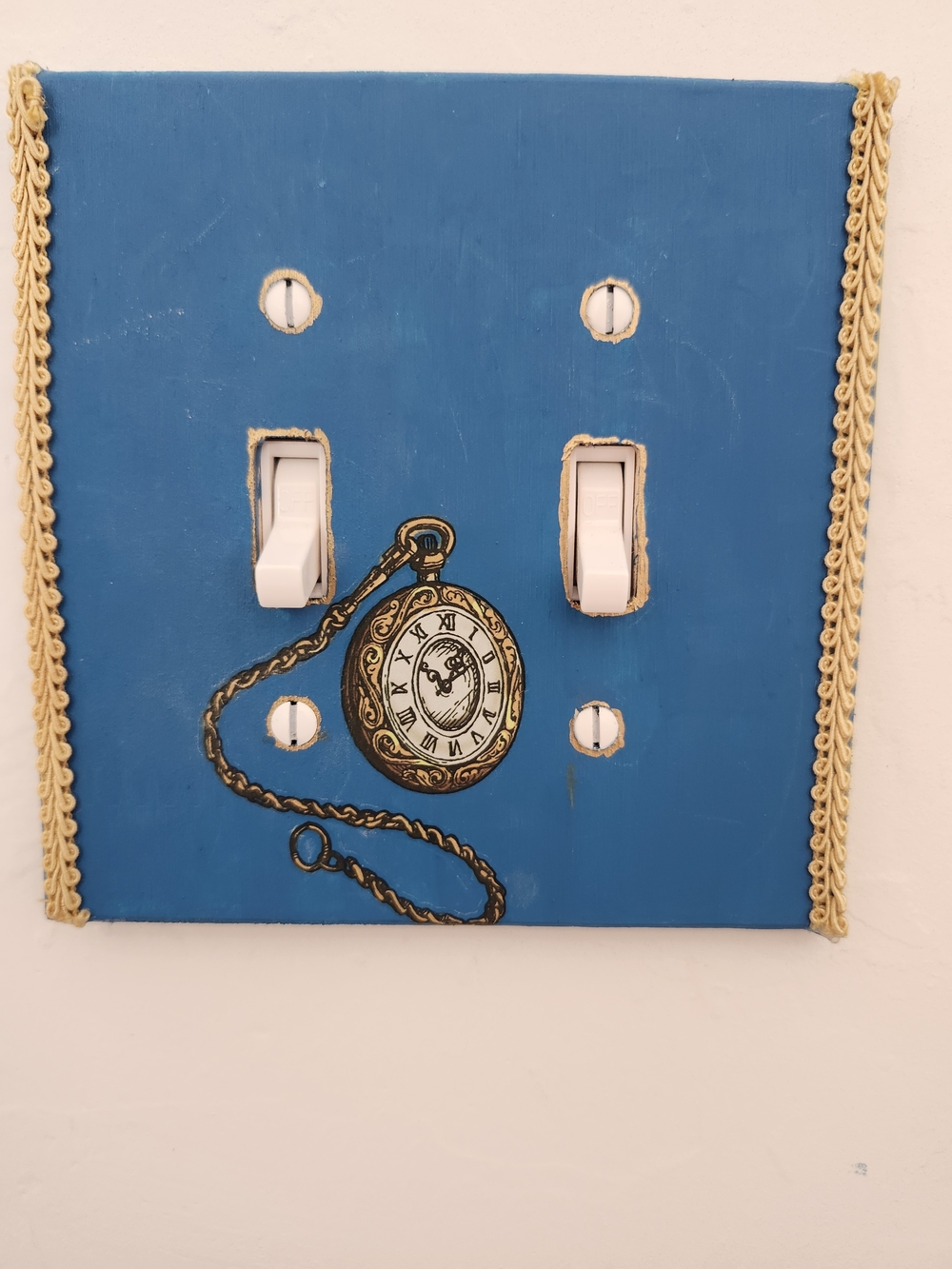 Custom Switchplate Covers